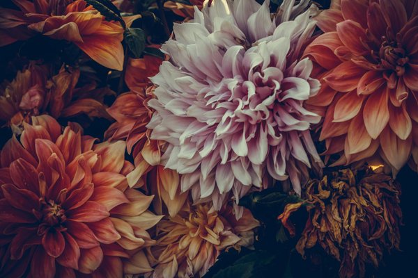 Top conseils pour sélectionner un ventilateur de plafond extérieur