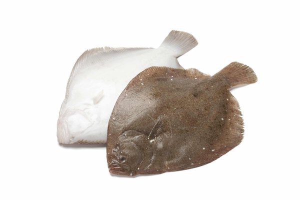 Conseils pour une illumination réussie de votre jardin : donnez-lui de l'éclat