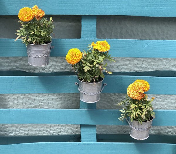 Quelles sont les caractéristqieus et les qualités des pots de fleurs ?