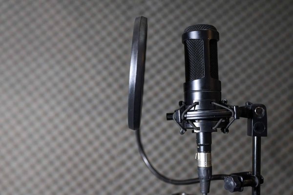 Quelles sont les caractéristiques essentielles d'un bon microphone dynamique ?