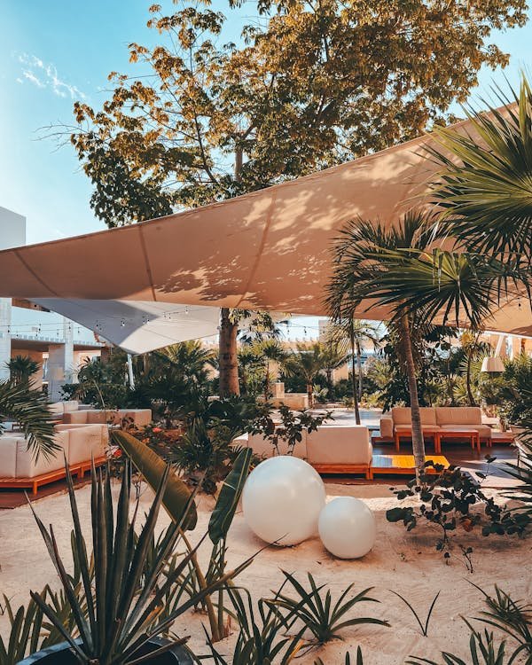 Toile fibre de coco : l'ombre naturelle pour votre jardin